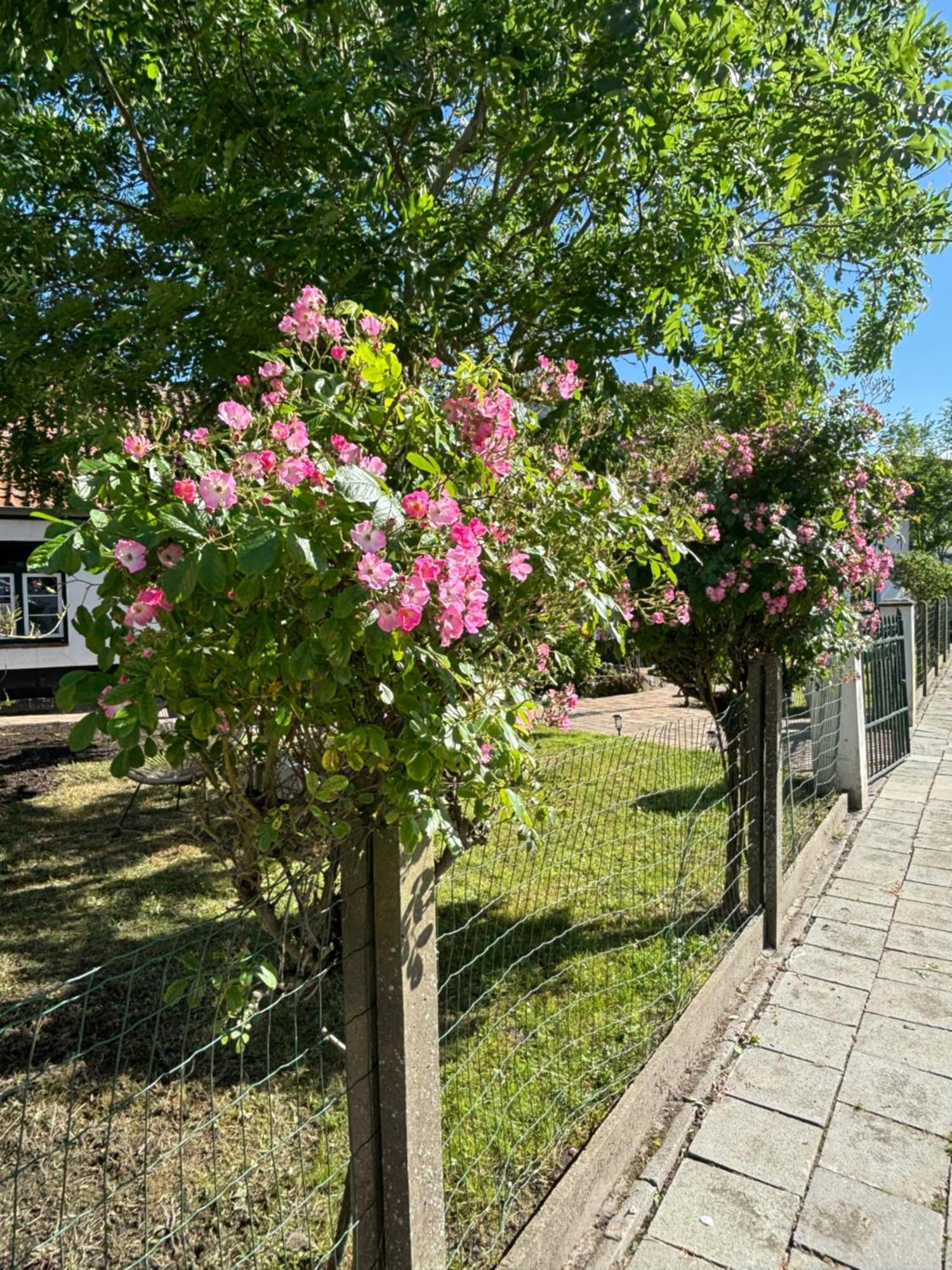 Het Relax Hoeveke Oostende Ngoại thất bức ảnh